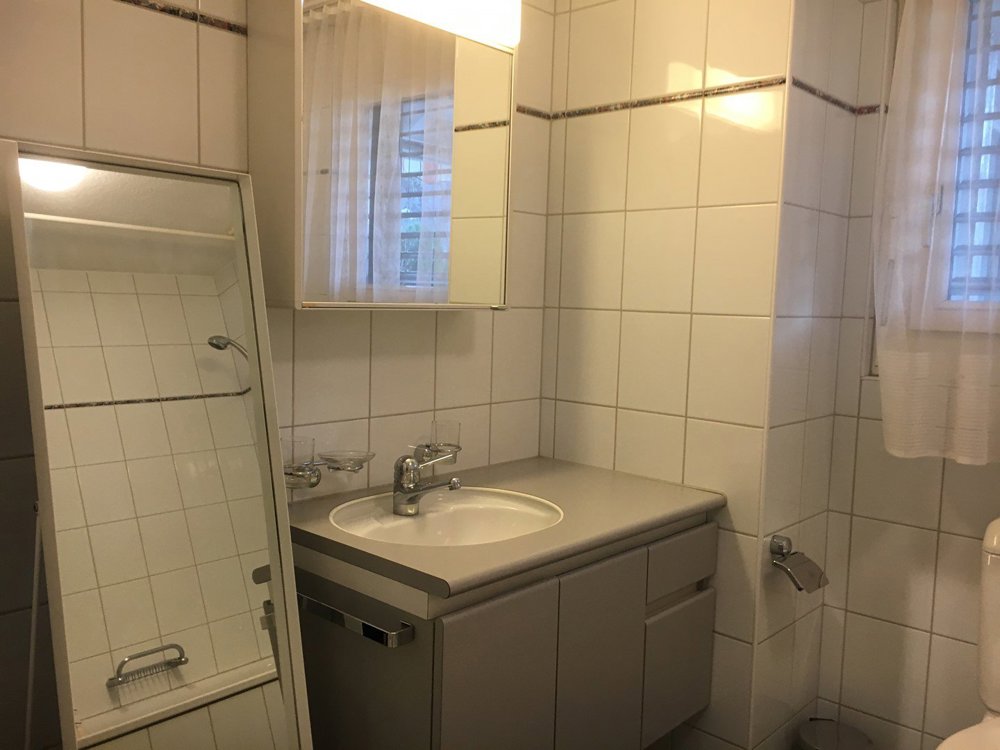 1 rooms Apartment for rent in Regensdorf - image 1/7