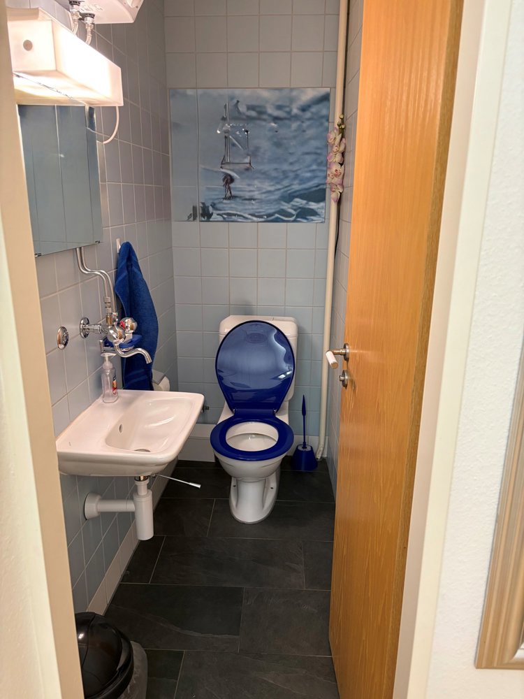 null rooms Office & Commercial for rent in Basilea - image 1/13