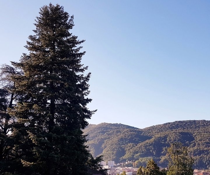1 Zimmer Wohnung zu vermieten in Vacallo - Bild 1/10