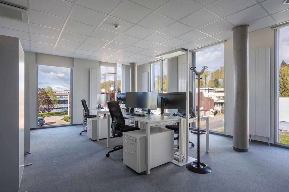 Bureau & Commerce 5 pièces à louer à Le Mont-sur-Lausanne - image 1/4