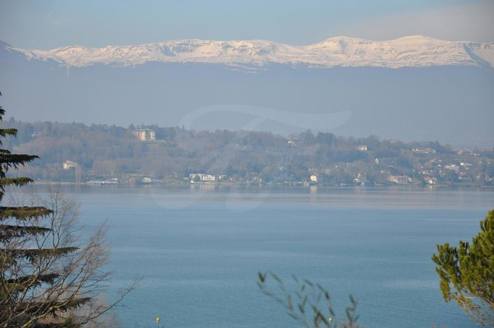 Casa di null locali in vendita a Cologny - immagine 1/1
