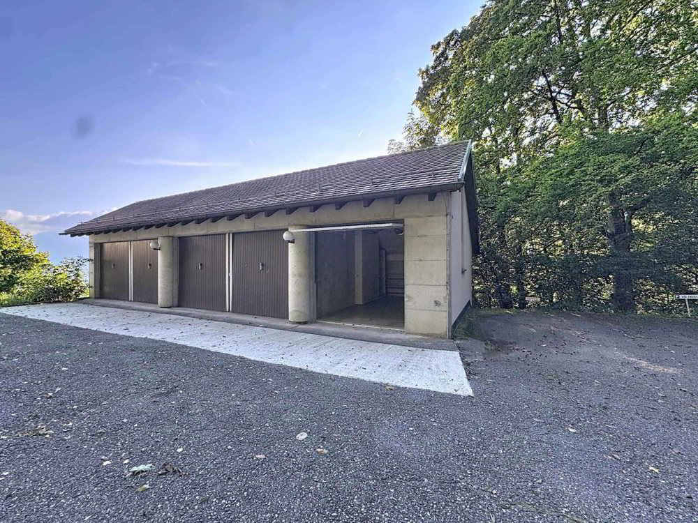 4 Zimmer Wohnung zum verkaufen in Jongny - Bild 1/11