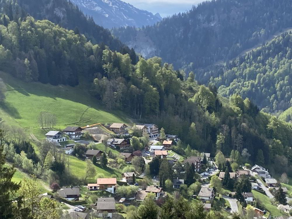 Appartamento di 4 locali in vendita a Charmey (Gruyère) - immagine 1/8
