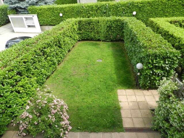 4 rooms Apartment to buy in Montagnola - image 1/1
