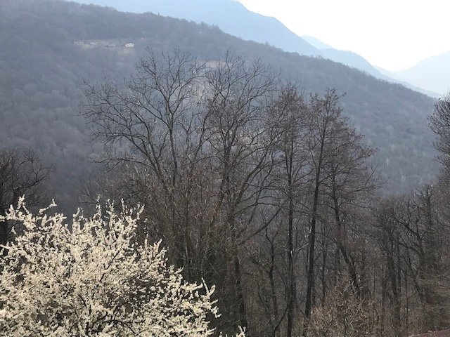 Terreno di null locali in vendita a Roveredo TI - immagine 1/1