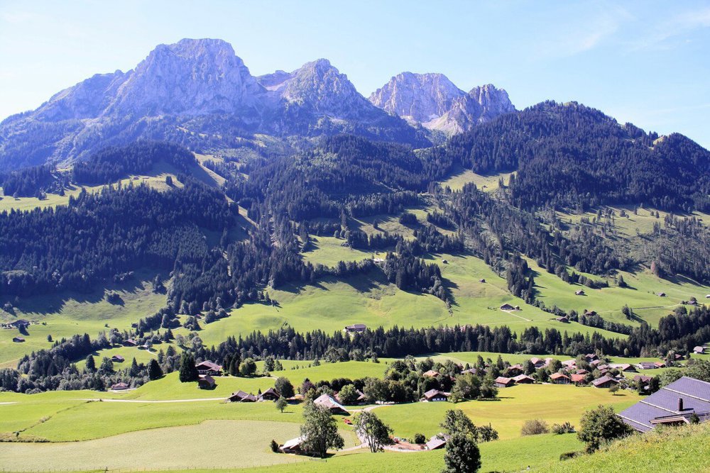 6 Zimmer Haus zum verkaufen in Rougemont - Bild 1/12