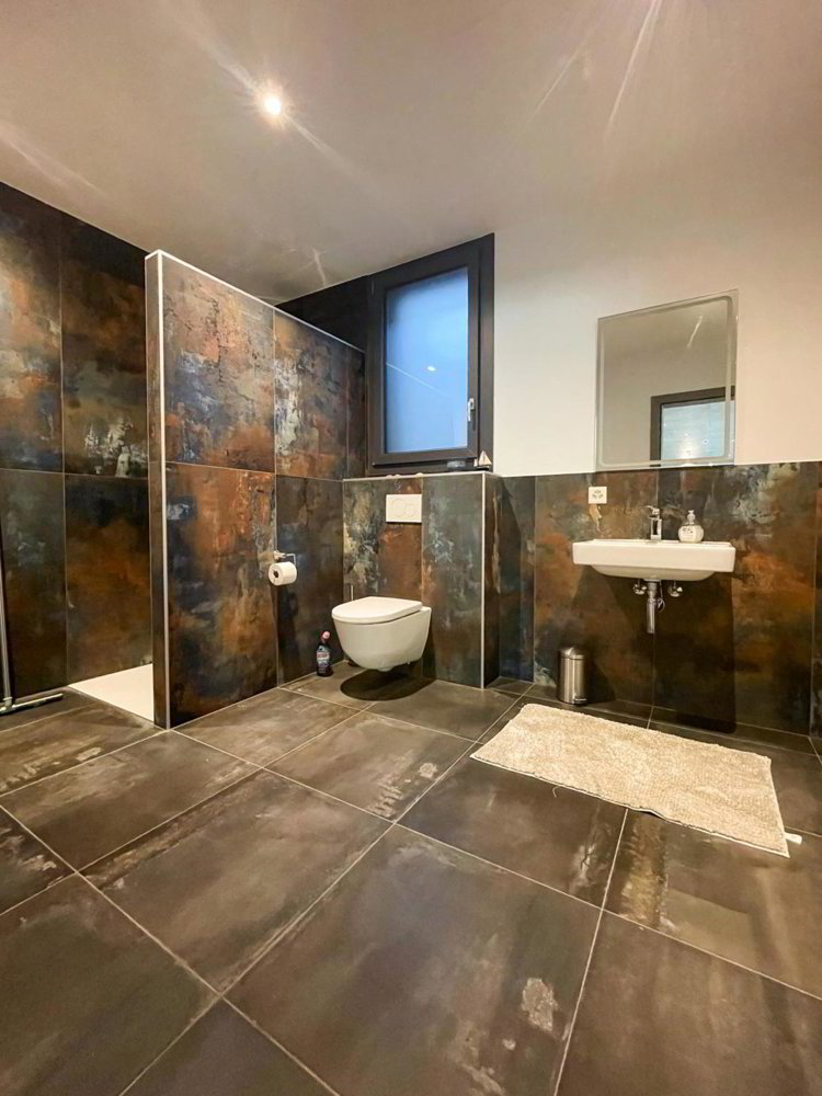 Maison 11 pièces à acheter à Arbaz - image 1/13
