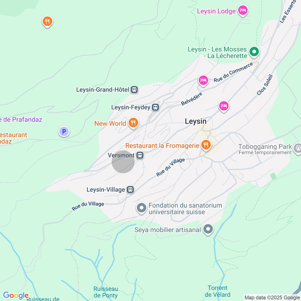 Appartamento di 2 locali in vendita a Leysin - immagine 1/9