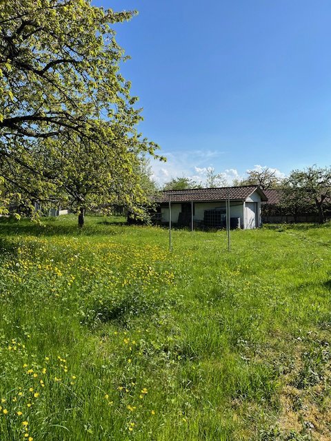 Maison 10 pièces à acheter à Bure - image 1/6