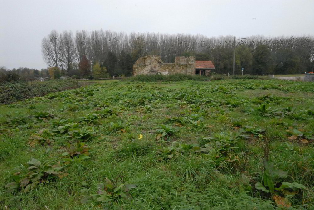 Terrain null pièces à acheter à Avenches - image 1/6
