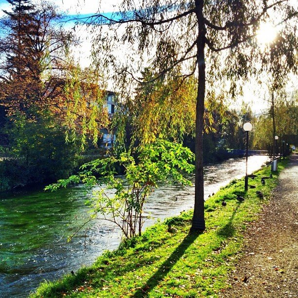 4 rooms Apartment for rent in Dübendorf - image 1/8