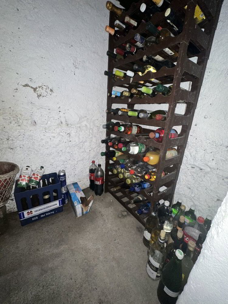 Maison 5.5 pièces à acheter à Burg AG - image 1/30