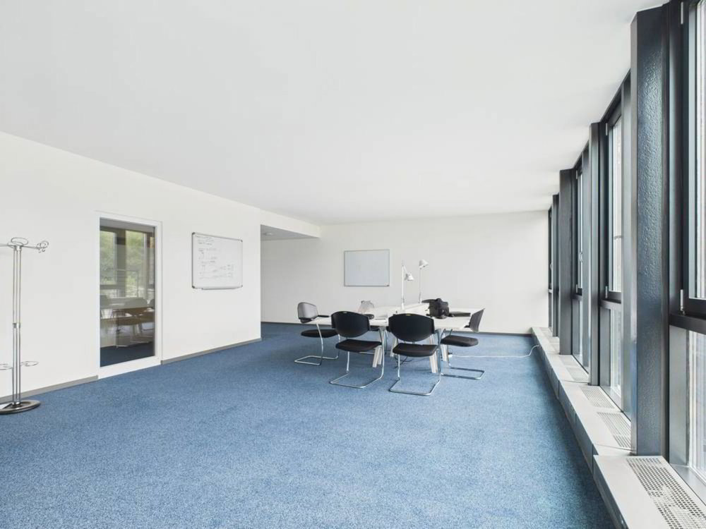 9 Zimmer Wohnung zu vermieten in Aesch BL - Bild 1/11