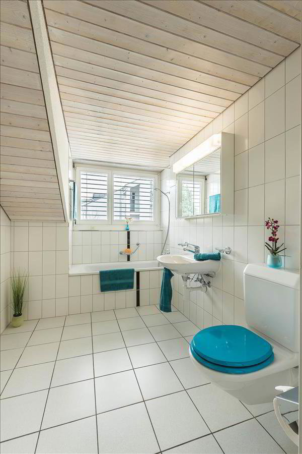 Wohnung – Dornach - Ansicht 4