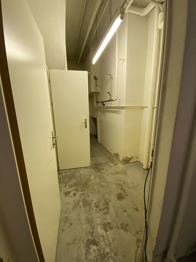 null rooms Office & Commercial for rent in Bâle - image 1/9