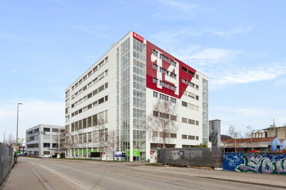 Ufficio & Commercio di null locali in affitto a Birsfelden - immagine 1/13