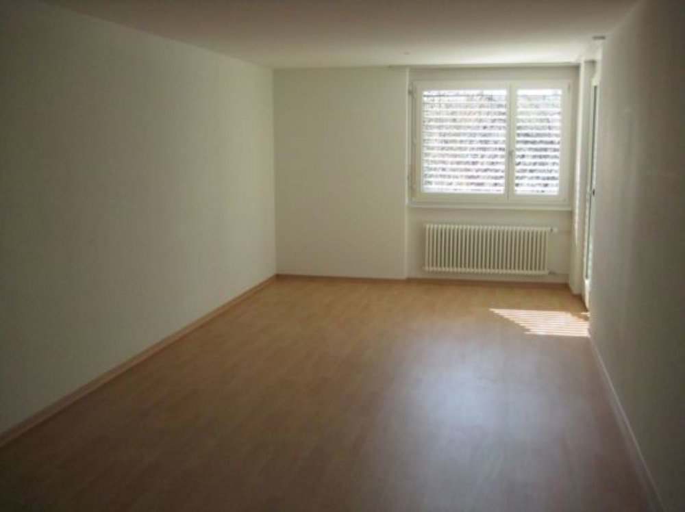 Appartement 4.5 pièces à louer à Niedergösgen - image 1/4