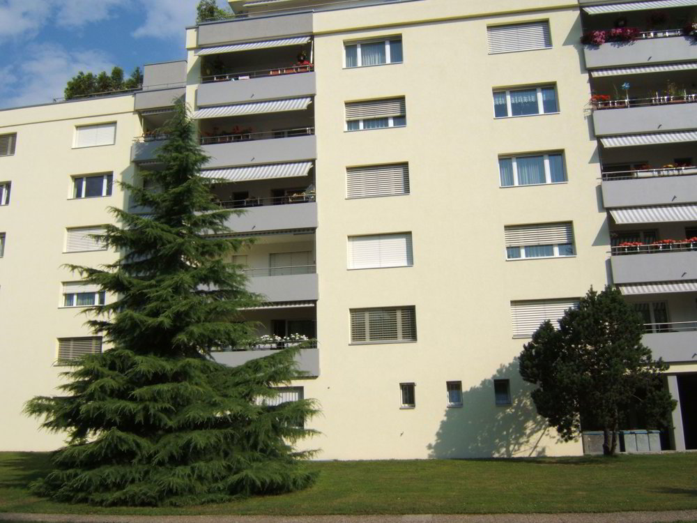 null rooms Car park, garage for rent in Dietikon - image 1/1