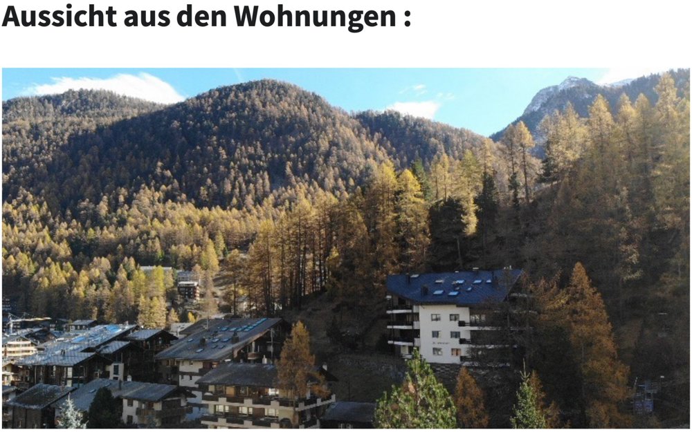 Appartement null pièces à acheter à Zermatt - image 1/19
