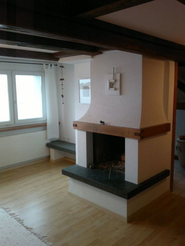 Casa di 2.5 locali in affitto a Steinach - immagine 1/15