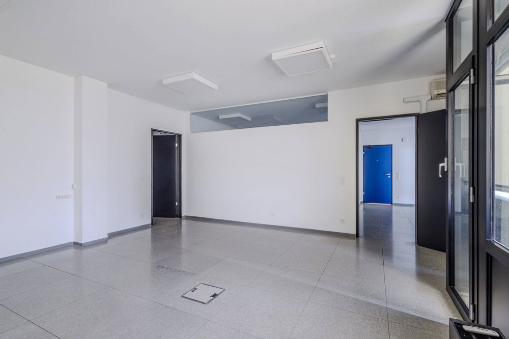 Ufficio & Commercio di 6 locali in affitto a Chiasso - immagine 1/9