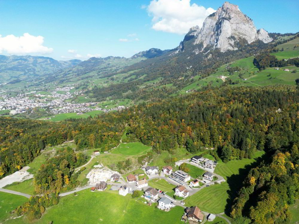 Ufficio & Commercio di null locali in vendita a Rickenbach b. Schwyz - immagine 1/6