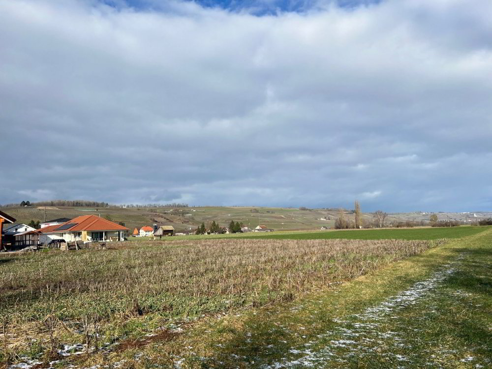 Casa di 5.5 locali in vendita a Trasadingen - immagine 1/13