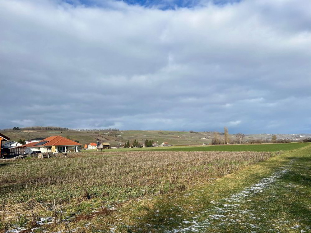 Maison 5.5 pièces à acheter à Trasadingen - image 1/14