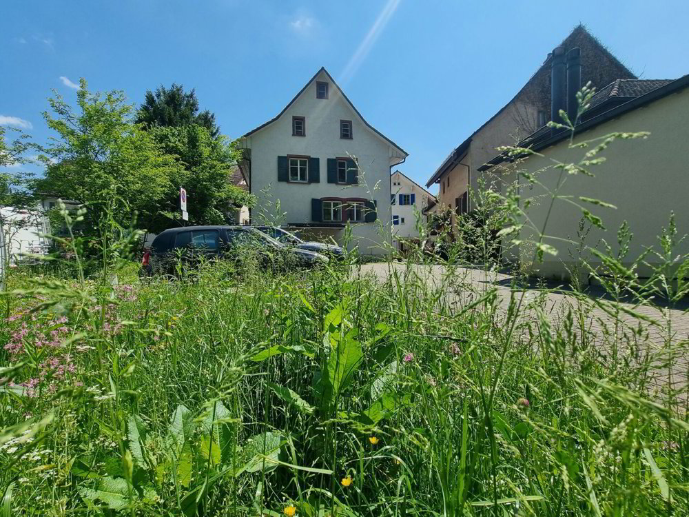 Haus – Hölstein, Bezirk Waldenburg - Mehr