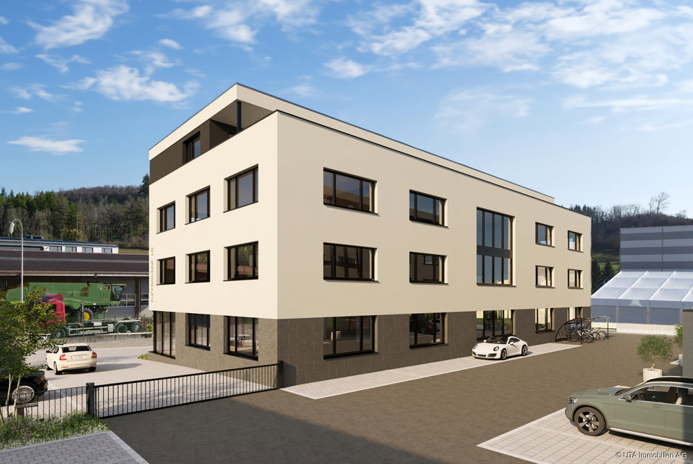 null rooms House to buy in Tegerfelden - image 1/14