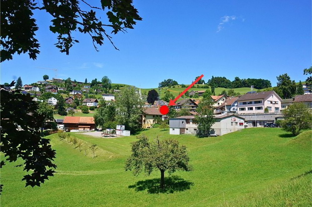 Appartamento di 3.5 locali in vendita a Oberhelfenschwil - immagine 1/13