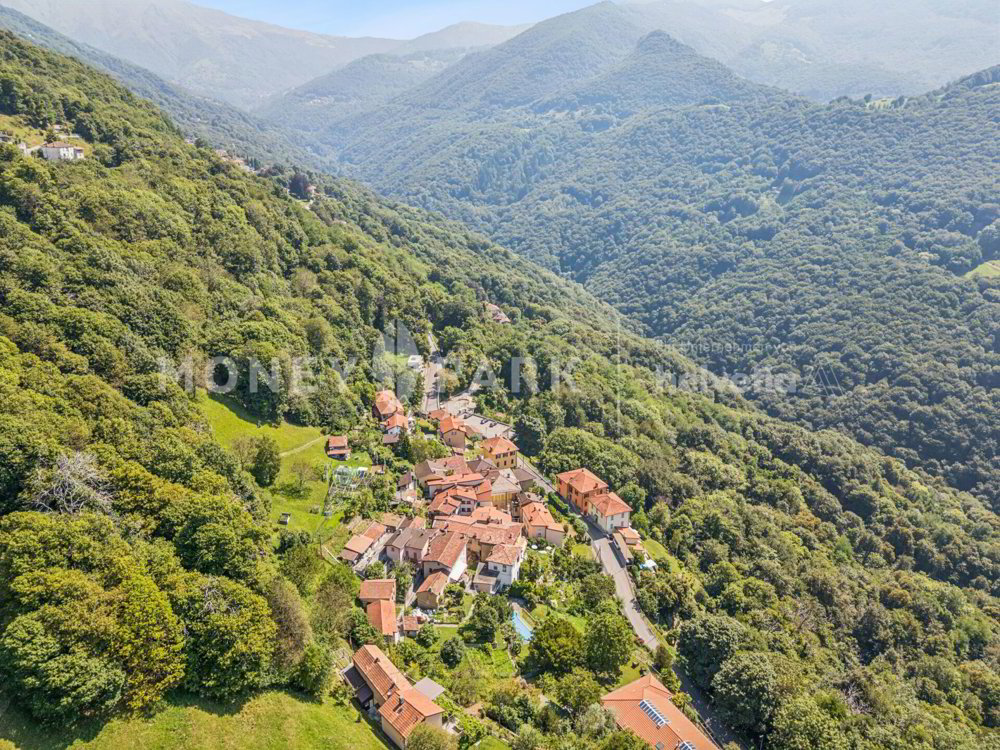 Maison 5.5 pièces à acheter à Bidogno - image 1/13