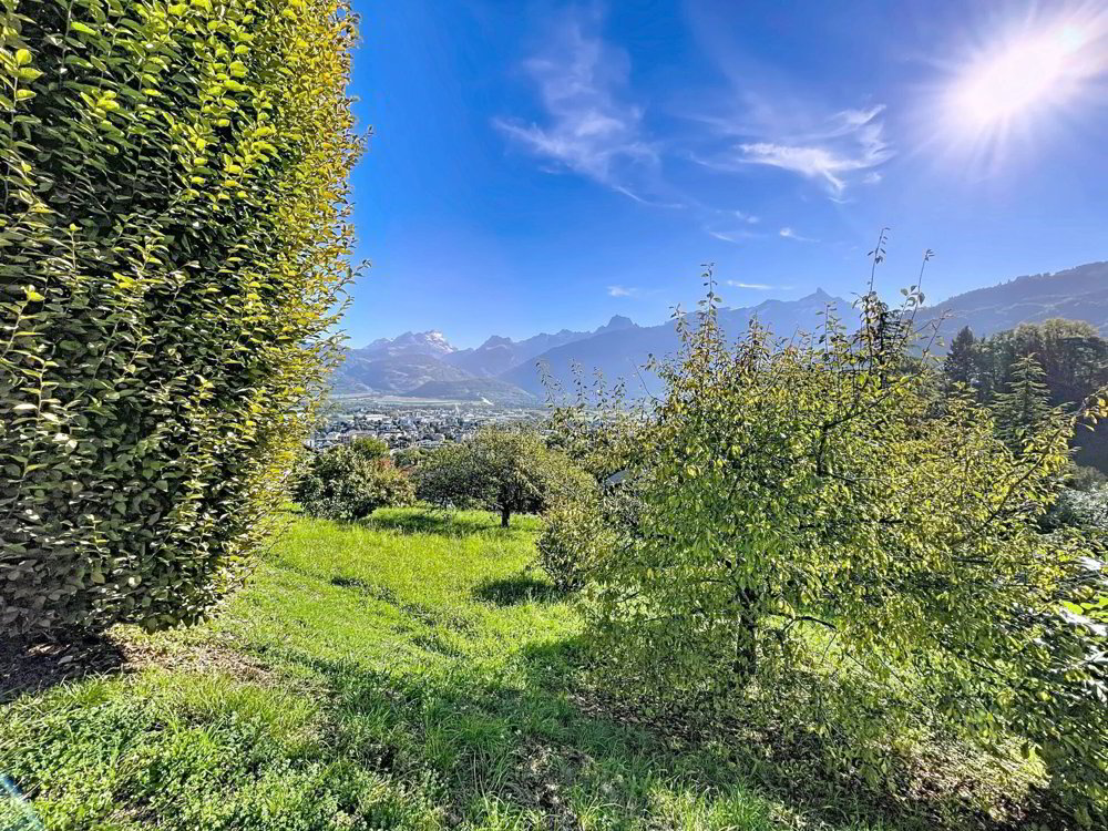 6.5 rooms House to buy in Monthey - image 1/13