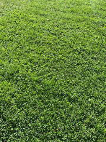 Terreno di null locali in vendita a Môtiers NE - immagine 1/1