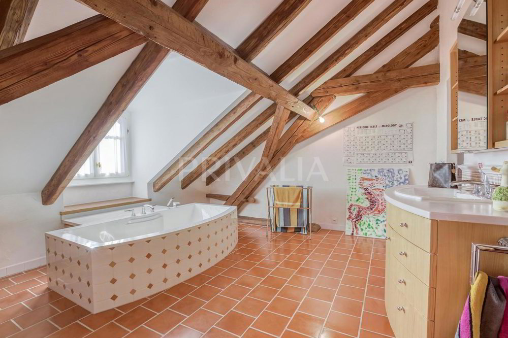 11 Zimmer Haus zu vermieten in Jussy - Bild 1/13