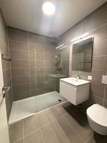 1 rooms Apartment for rent in Chavannes-près-Renens - image 1/4