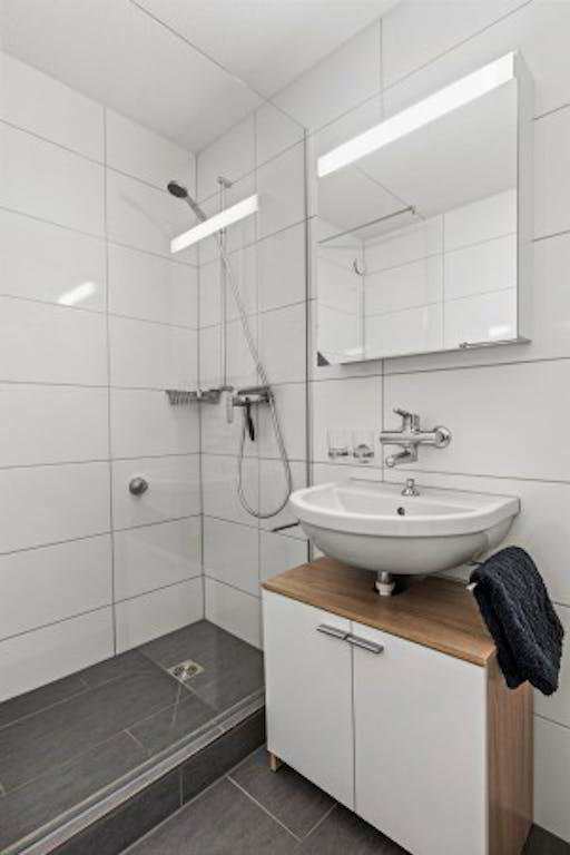 1 rooms Apartment for rent in Winterthur - image 1/10