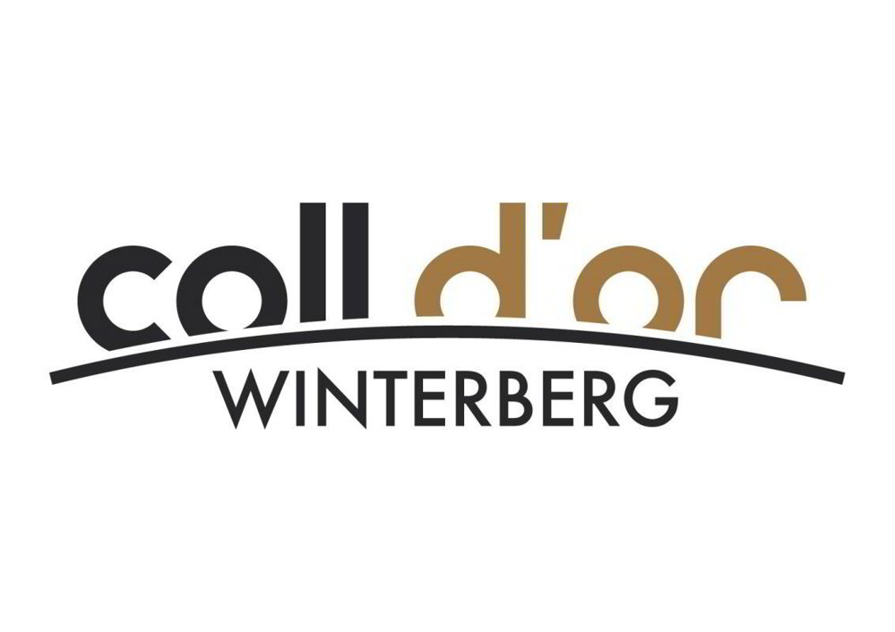 4 rooms Apartment to buy in Winterberg ZH - image 1/8
