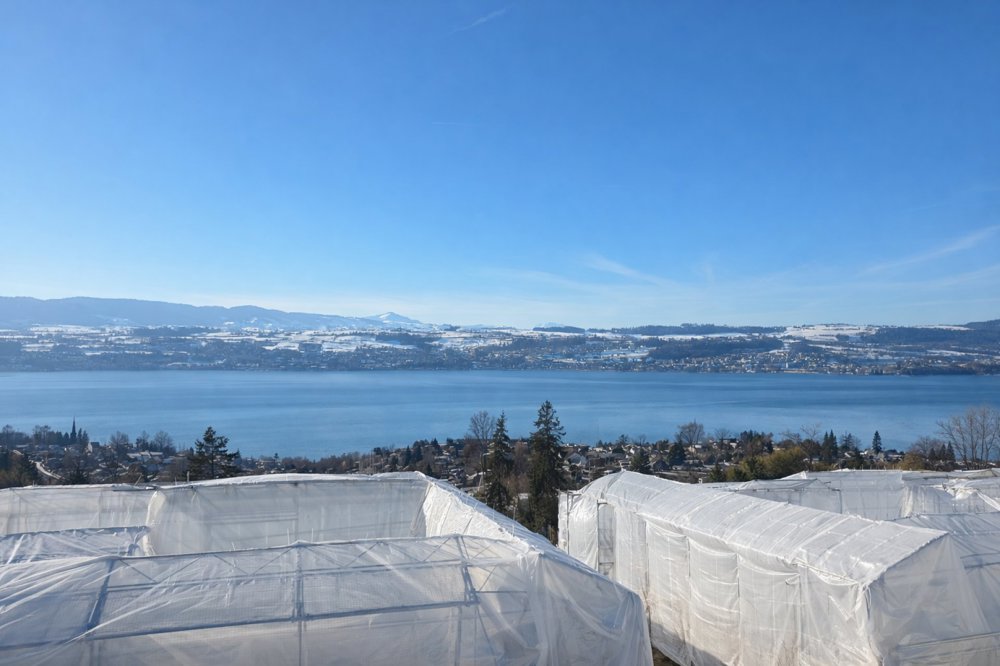 Appartamento di null locali in vendita a Männedorf - immagine 1/12