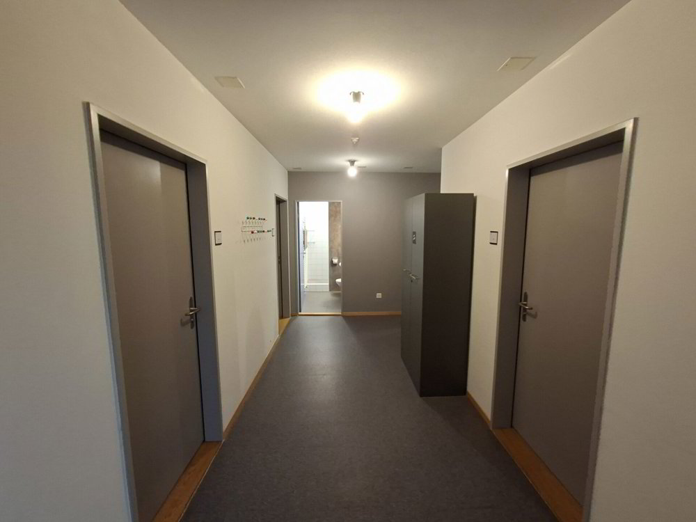 Collocazione di 1 locali in affitto a Saint-Gall - immagine 1/7