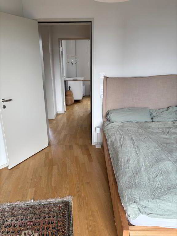 2 rooms Apartment for rent in Zürich - image 1/10