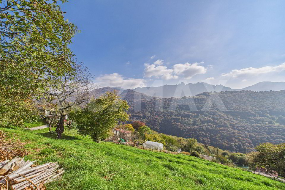 Terreno edificabile; soleggiato con vista panoramica, a circa 25 minuti da Lugano - Ansicht 2