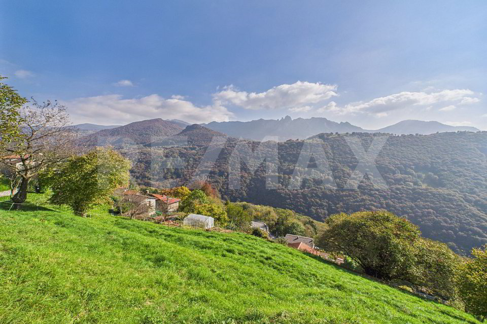 null rooms Land to buy in Tesserete - image 1/7