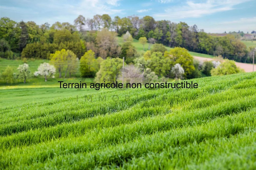 Terreno di null locali in vendita a Bernex - immagine 1/1