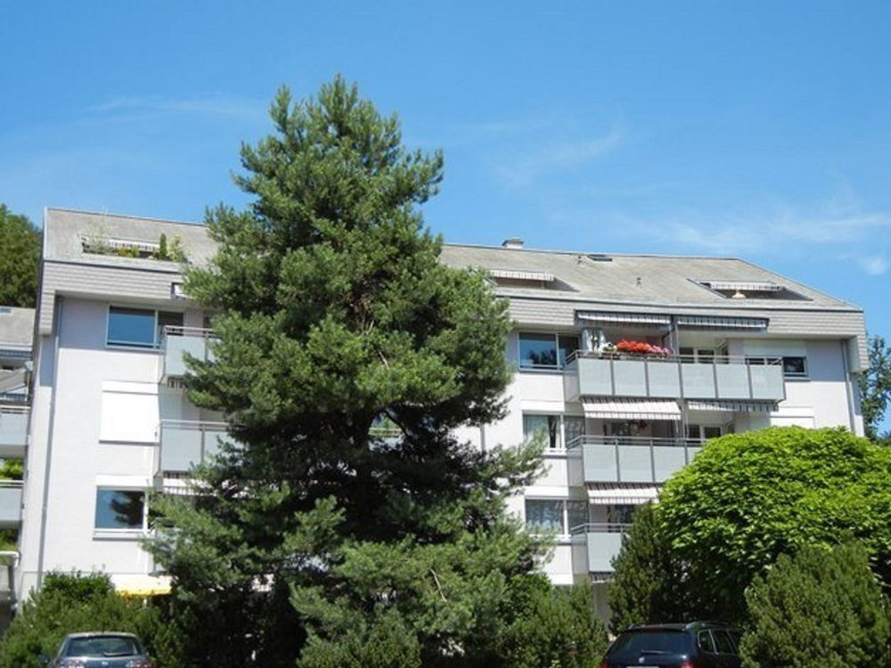 Parcheggio, garage di null locali in affitto a Pully - immagine 1/1