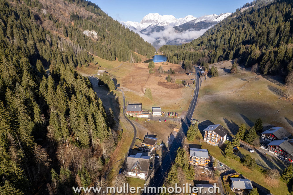 Casa di 16 locali in vendita a Morgins - immagine 1/13