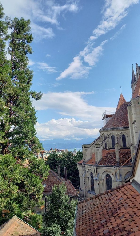 4 Zimmer Wohnung zu vermieten in Lausanne - Bild 1/12