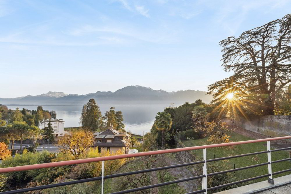 16 rooms House to buy in Vevey - image 1/20