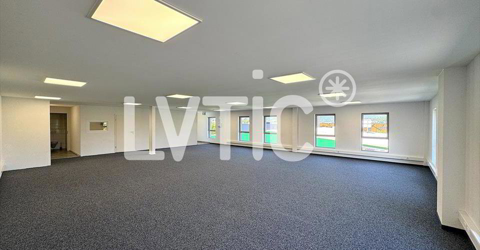 Ufficio & Commercio di null locali in affitto a Villeneuve VD - immagine 1/6