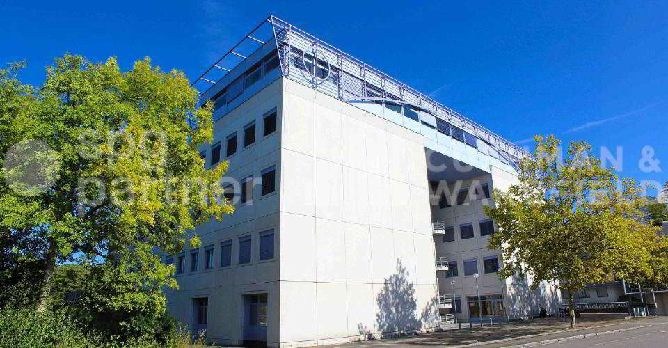 Ufficio & Commercio di null locali in affitto a Meyrin - immagine 1/13